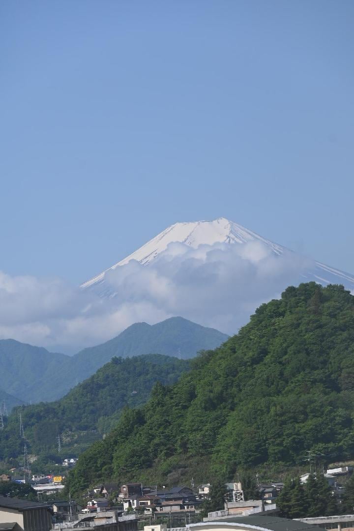 BCFAA35E-854C-4453-B74B-8B05091A1DAB.jpeg