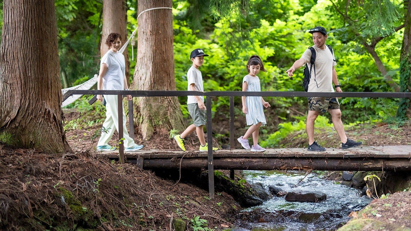 Forest Walk