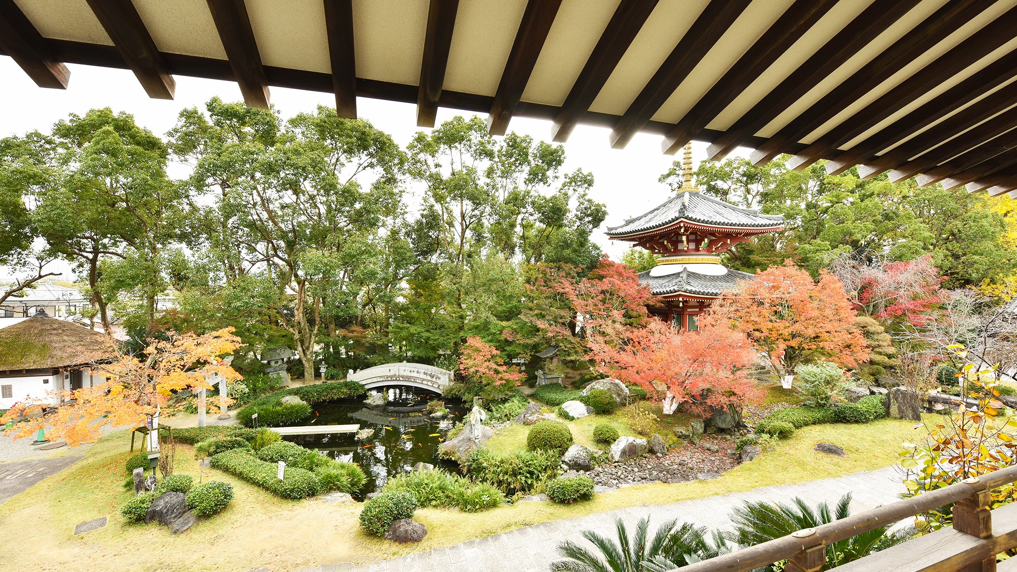 *[Contoh lanskap] Taman dilihat dari tikar tatami Shoin 15