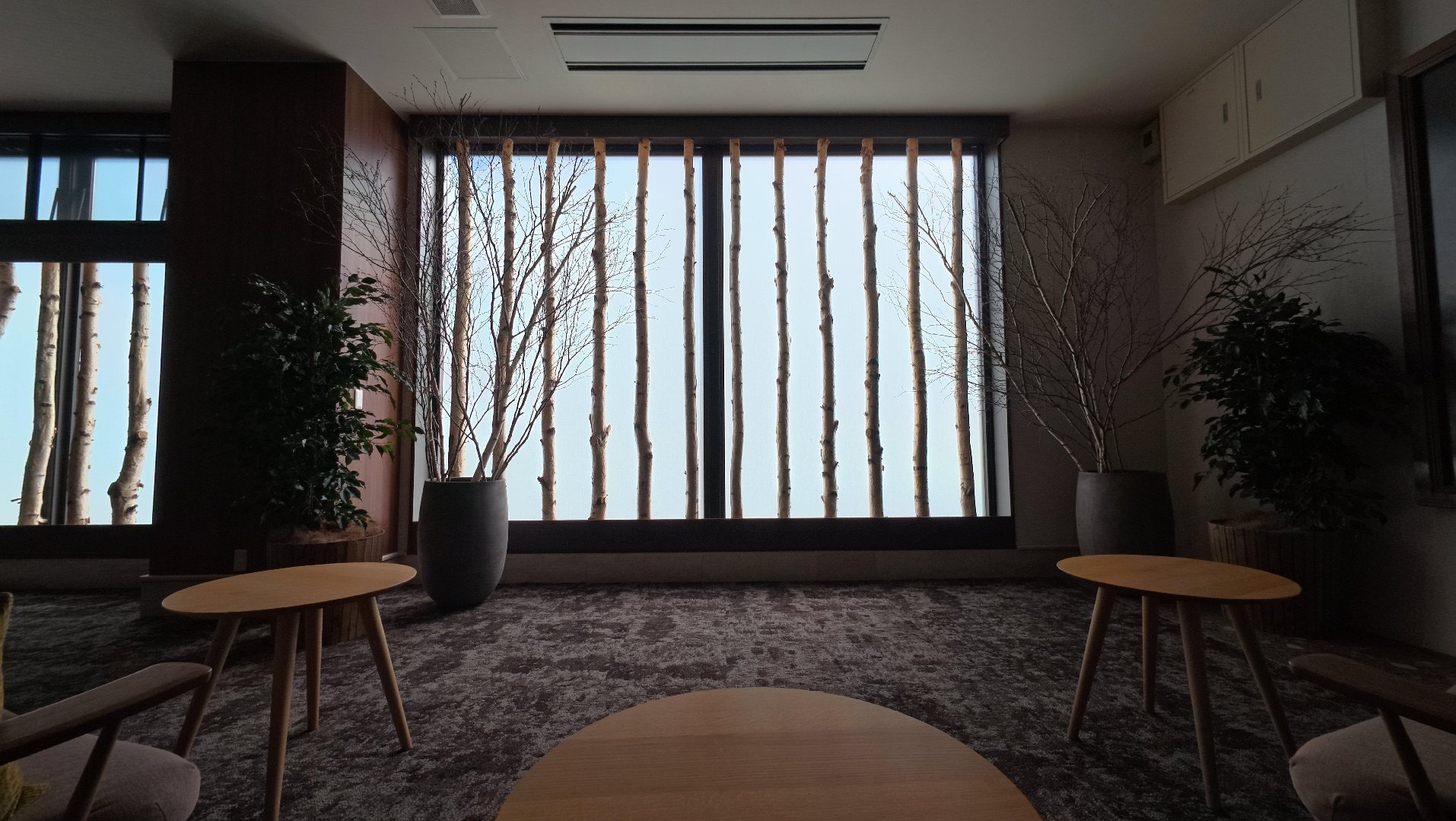 4AAE3B00-B67E-4300-99CA-B0FE70639BE2.jpeg