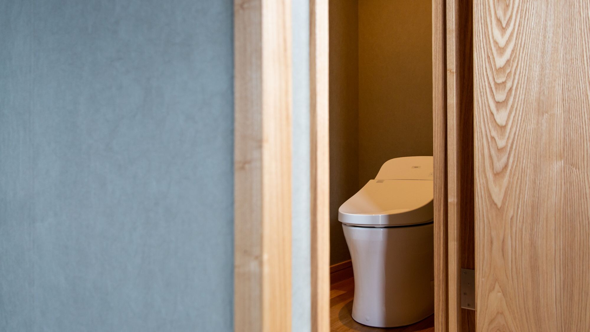 Toilet with washlet