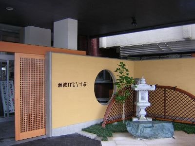 Appearance image