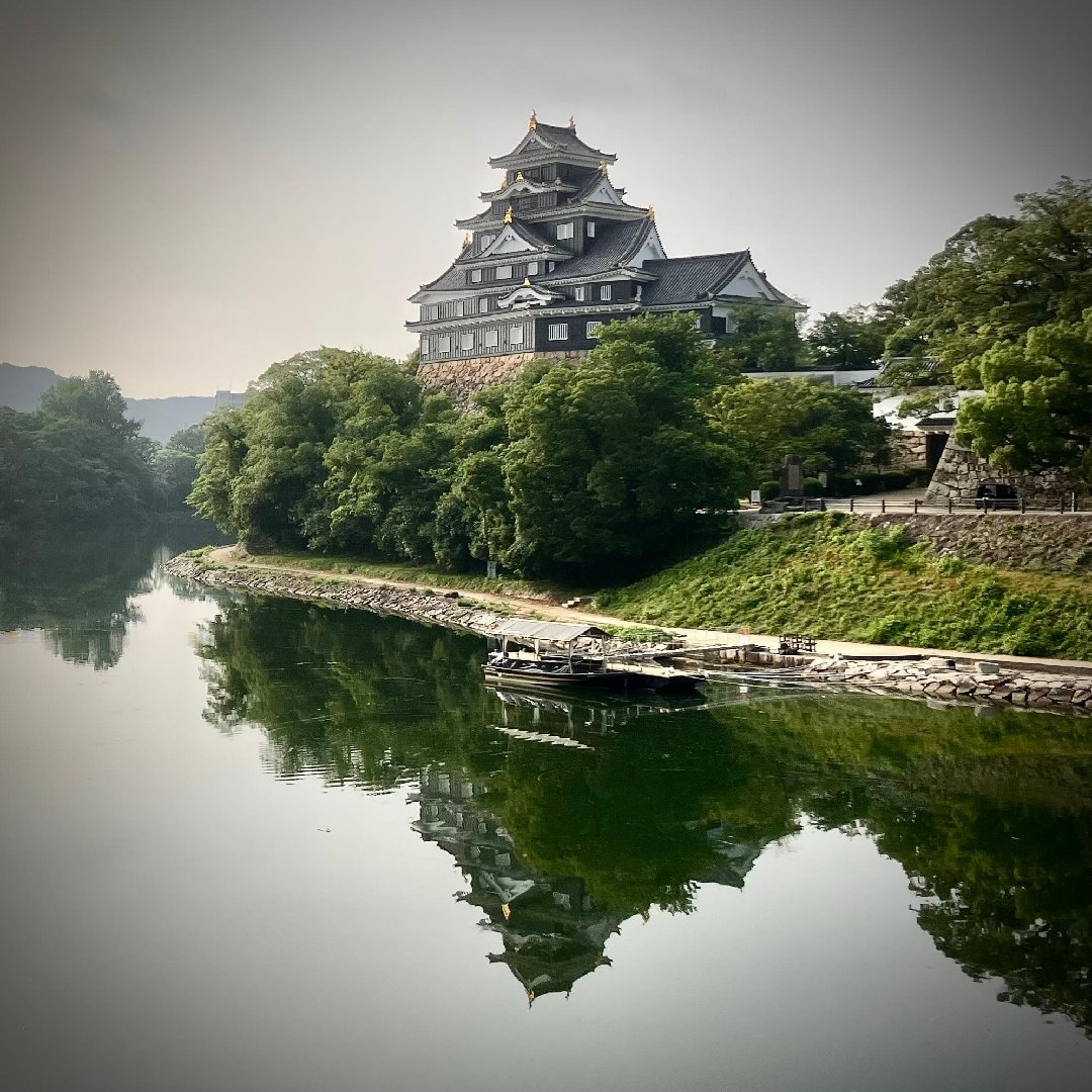 IMG_4686.jpeg