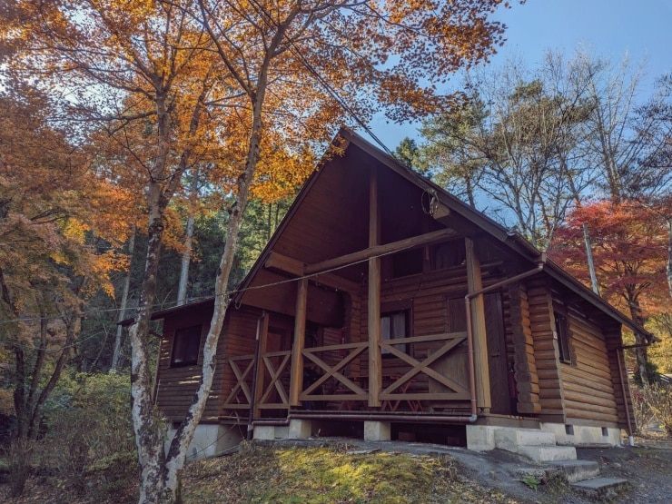 Log house