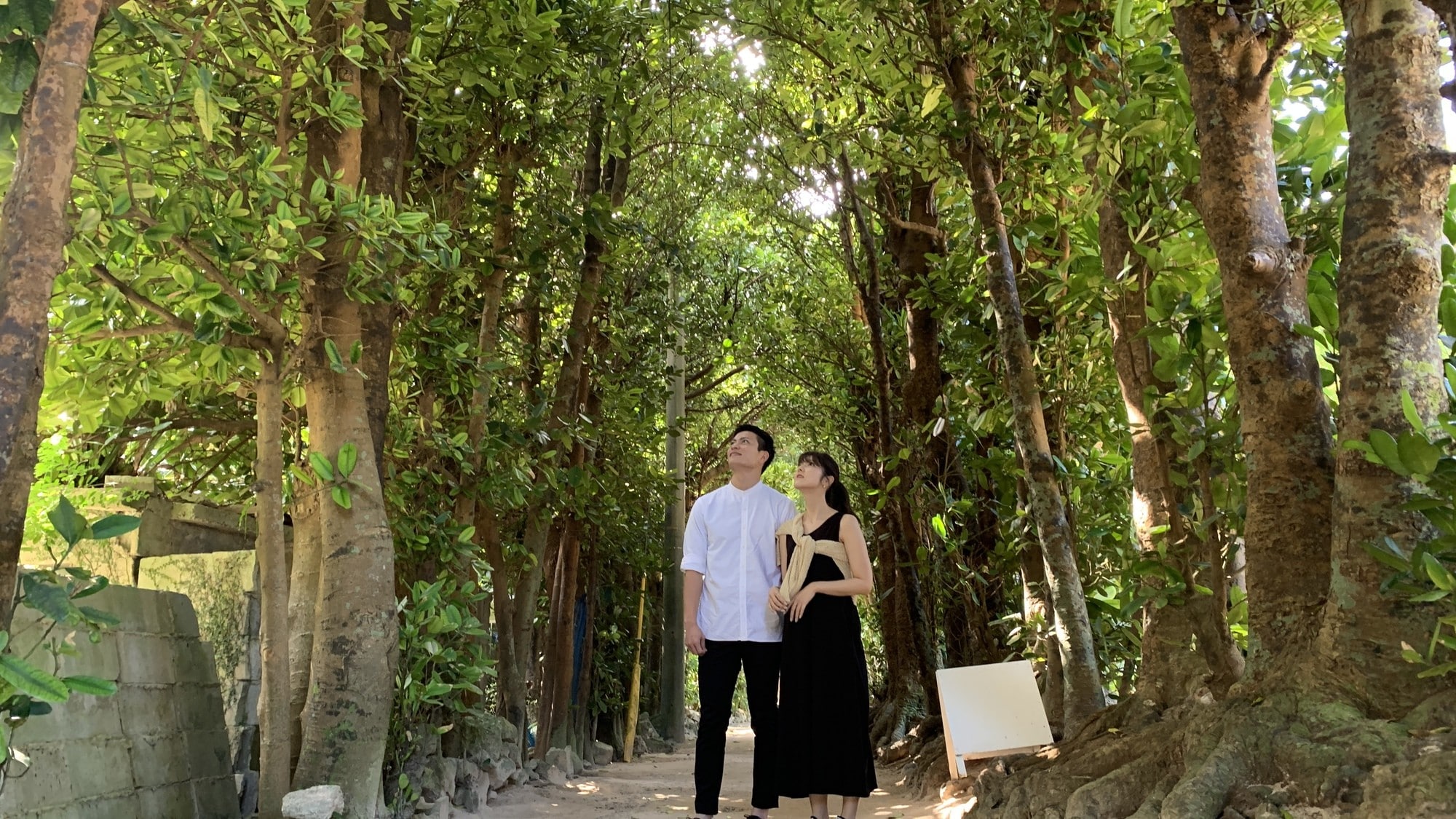 29 minutes by car to the Fukugi tree-lined street