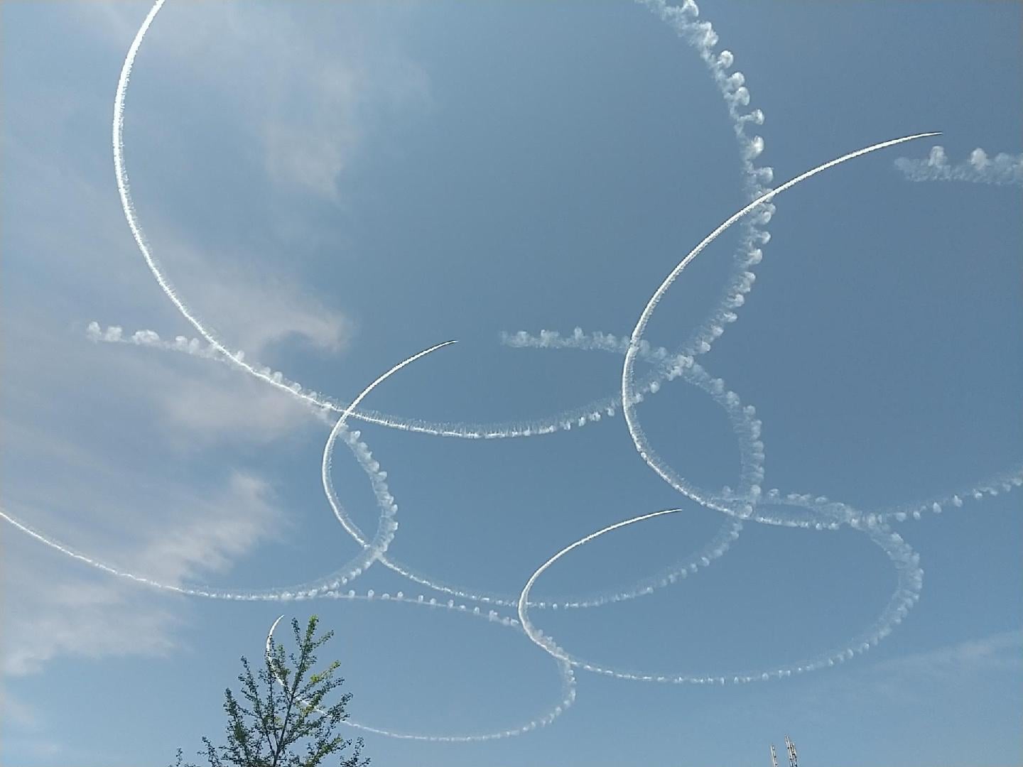 1000022056.jpg
