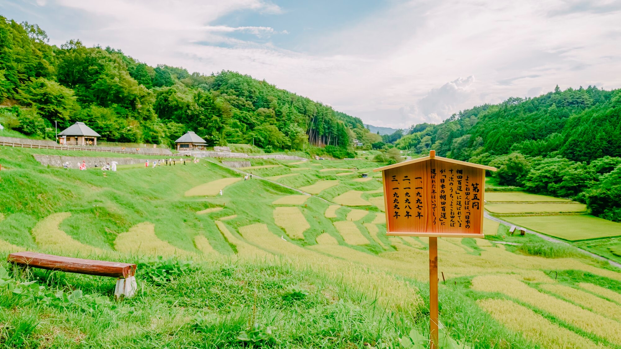 *[Around the hotel] About 5 minutes by car from the hotel. Please also stop by Yokone Rice Field, which has been selected as one of the 100 best rice terraces in Japan.