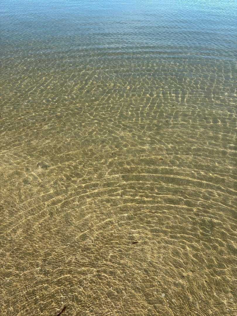 12851675-6604-4B87-B698-58654545695A.jpeg