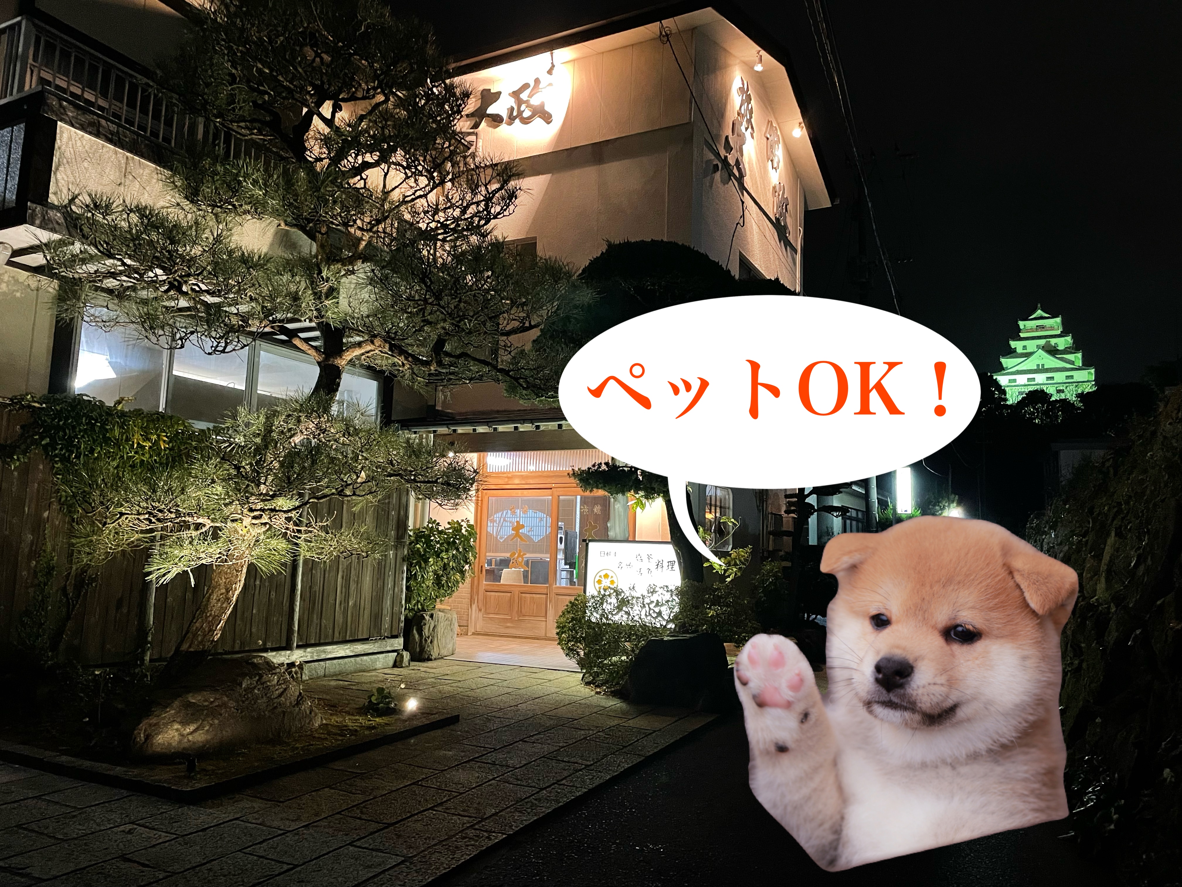 Pet-friendly accommodation