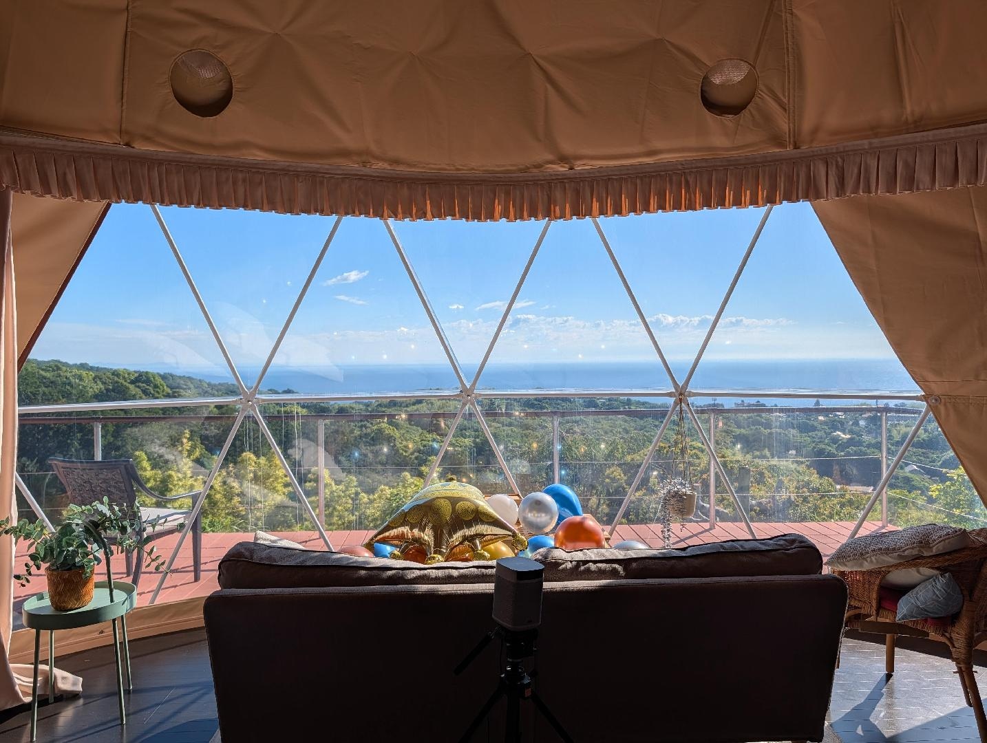 7162.jpg
