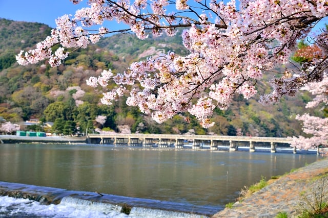 Photo of the surrounding area: Shuntogetsukyo Bridge