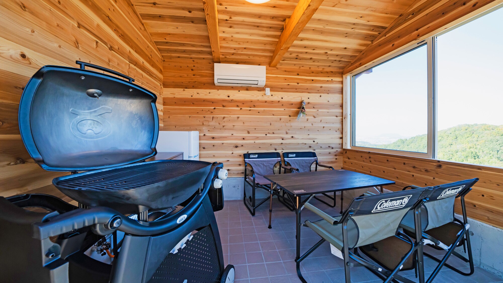 BBQ grilled on the BBQ House gas grill