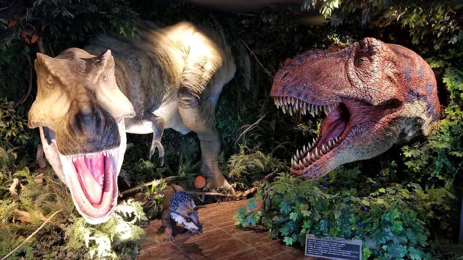 When you step into the lobby, you'll be transported to a world of dinosaurs. A powerful dinosaur will welcome you♪