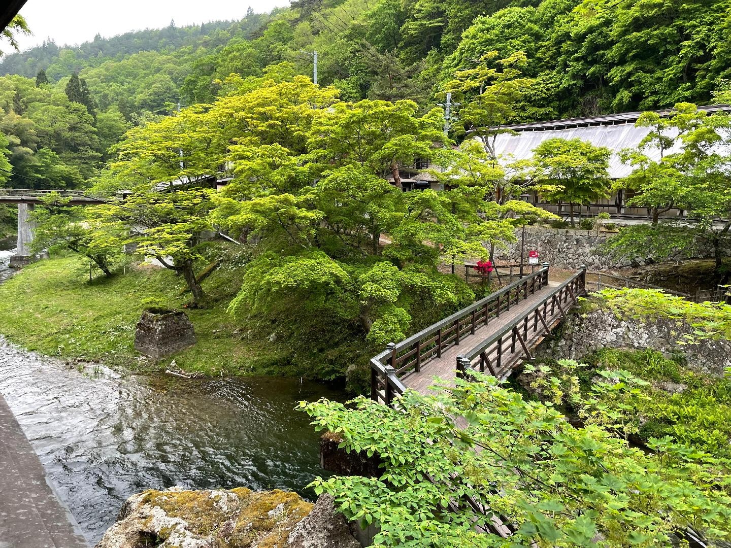 460F3D78-8A20-44EC-B329-F824C482C739.jpeg