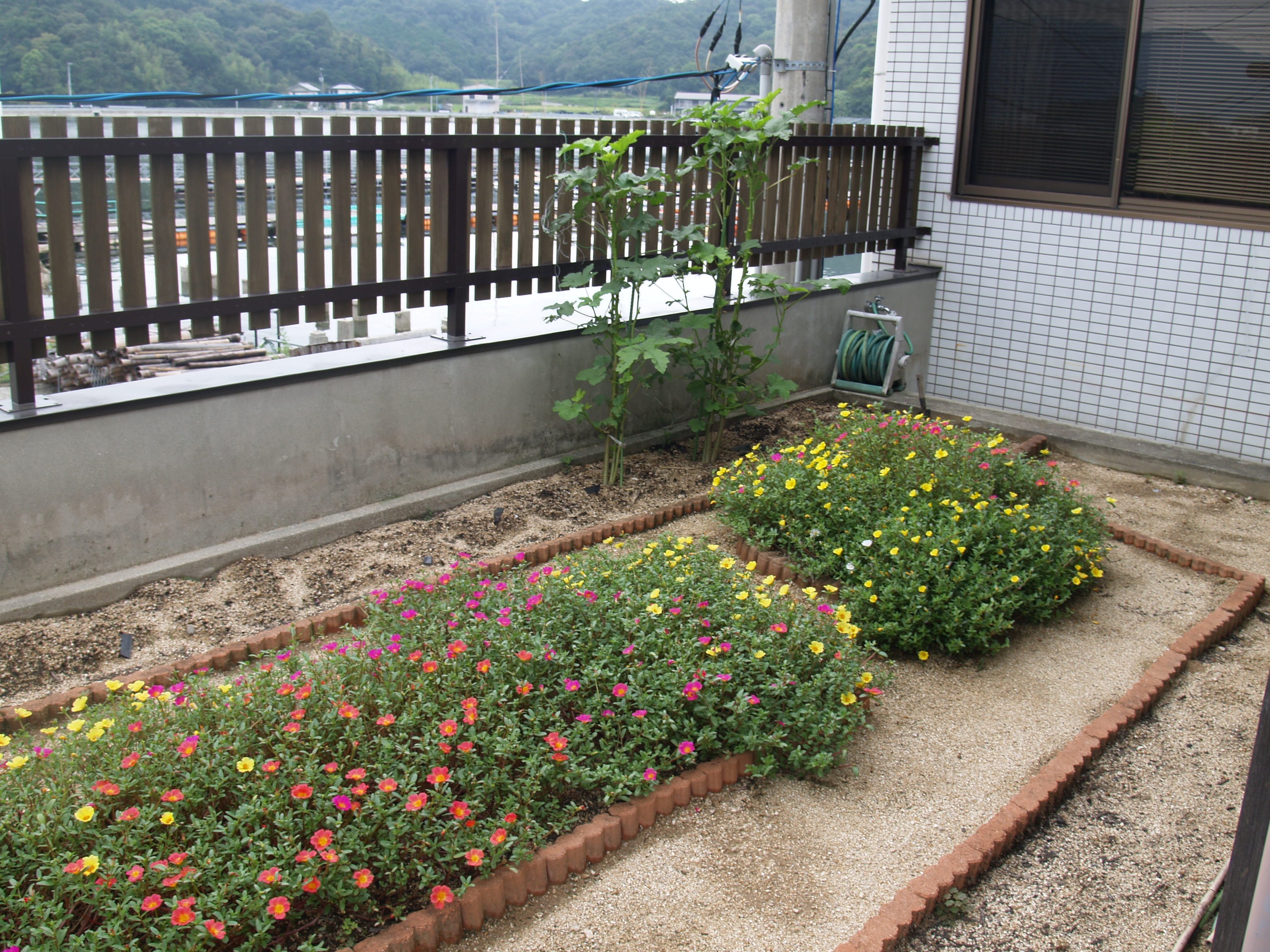 Deluxe Japanese-Western Room with Balcony Garden