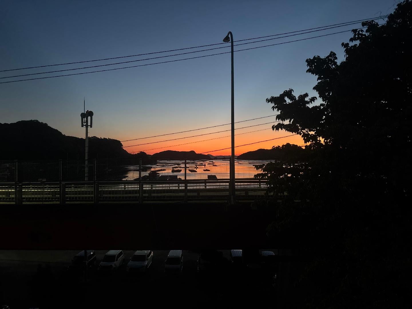 803A8A00-E838-4089-ACC6-04F0C6CDAFC5.jpeg