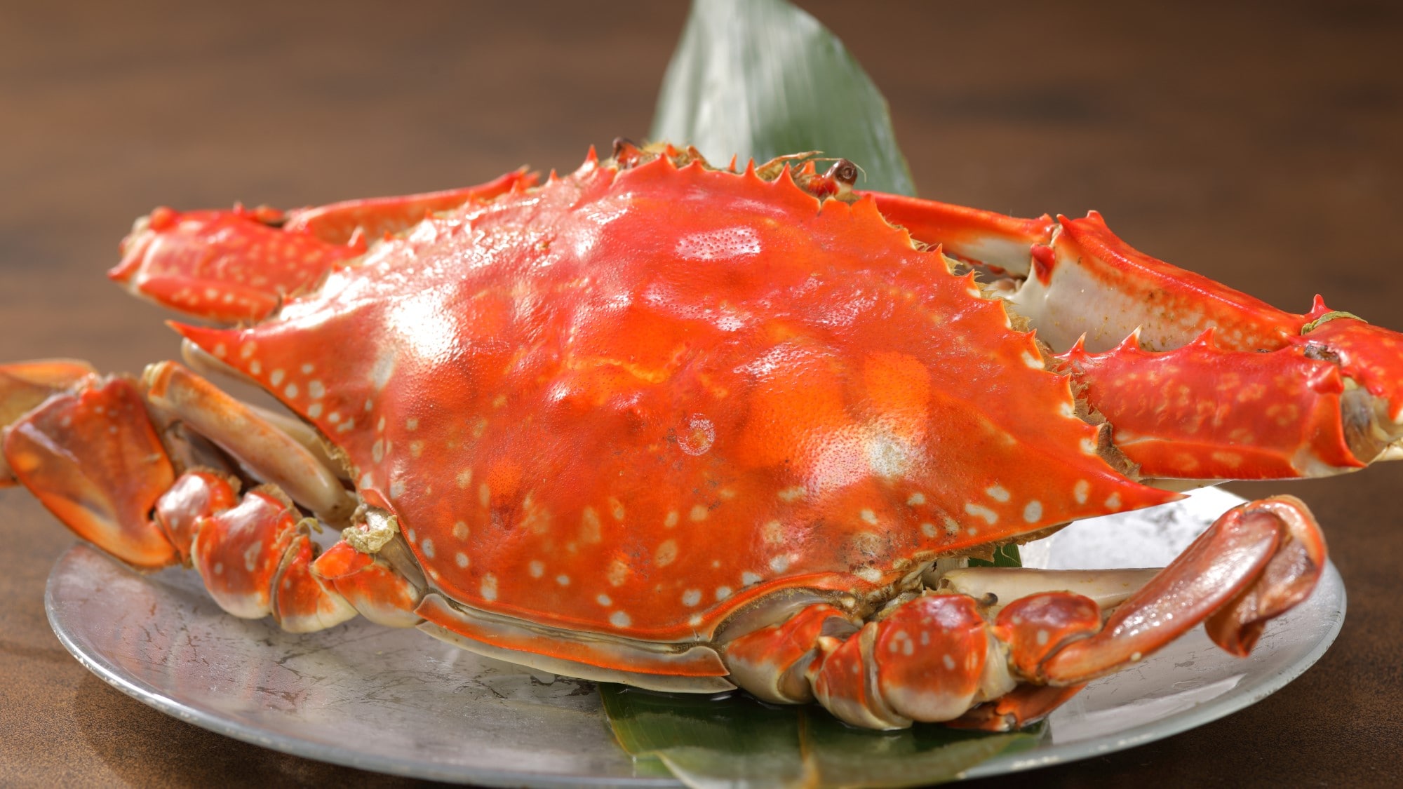 [Boiled crab] The boiled crab is firm and has a condensed flavor.