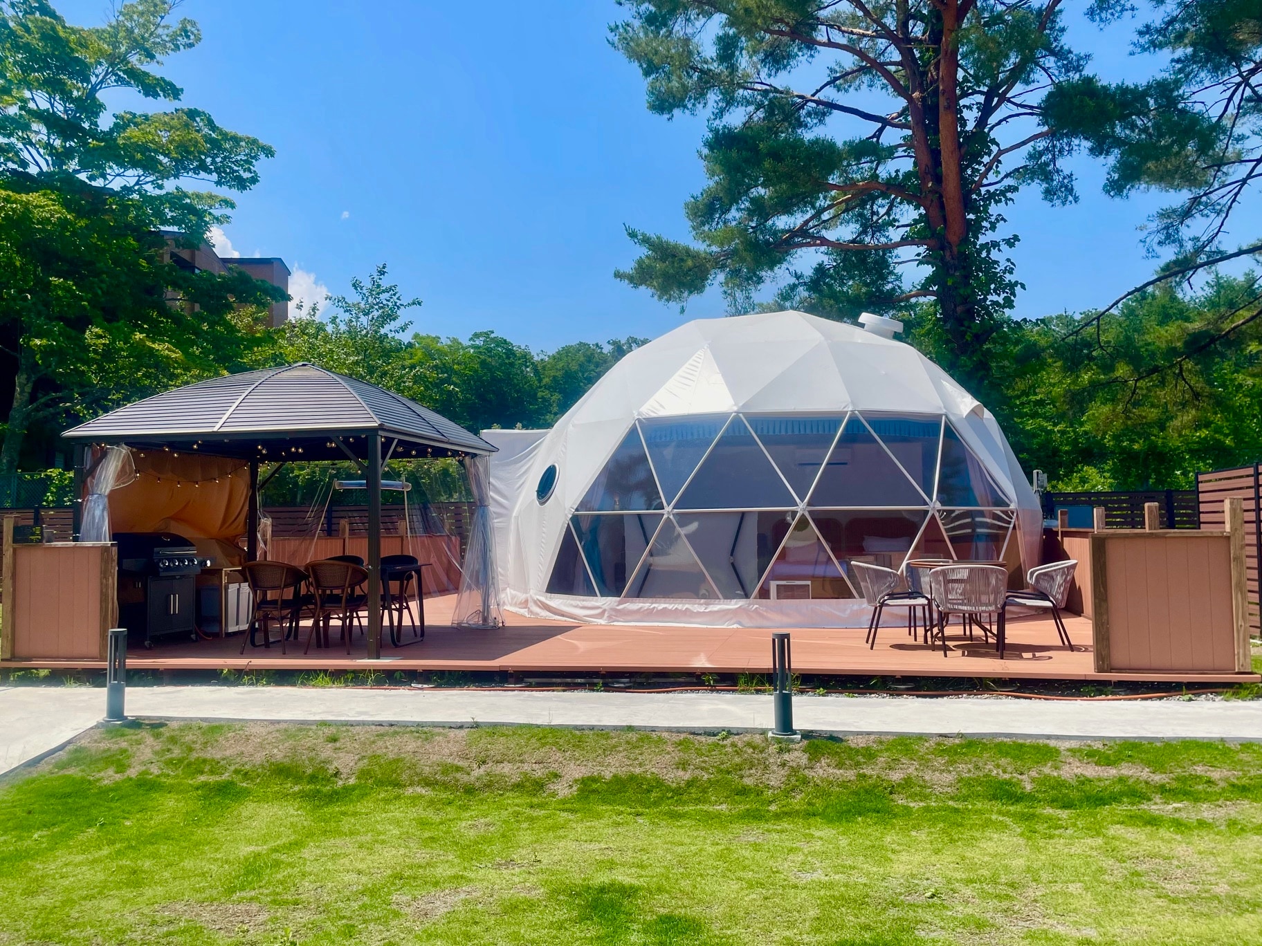 Dome tent with dog run