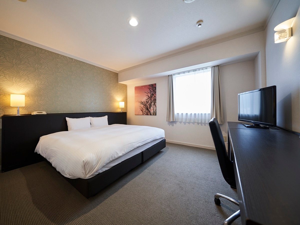 寬敞豪華單人房 1