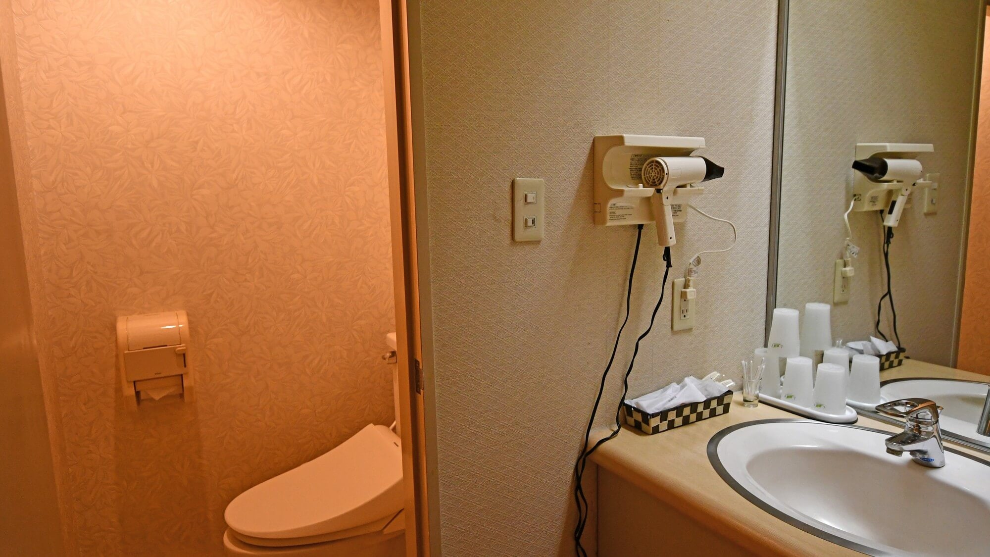 [Basic Japanese-style room] Equipped with a toilet and sink.