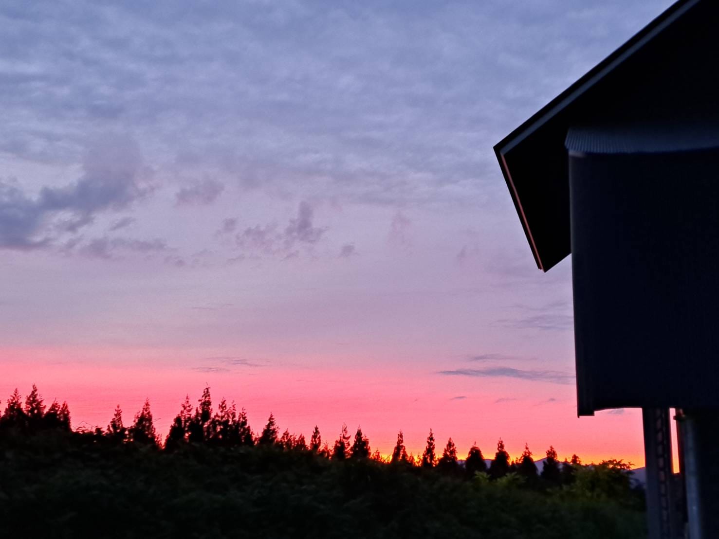 Evening Scenery