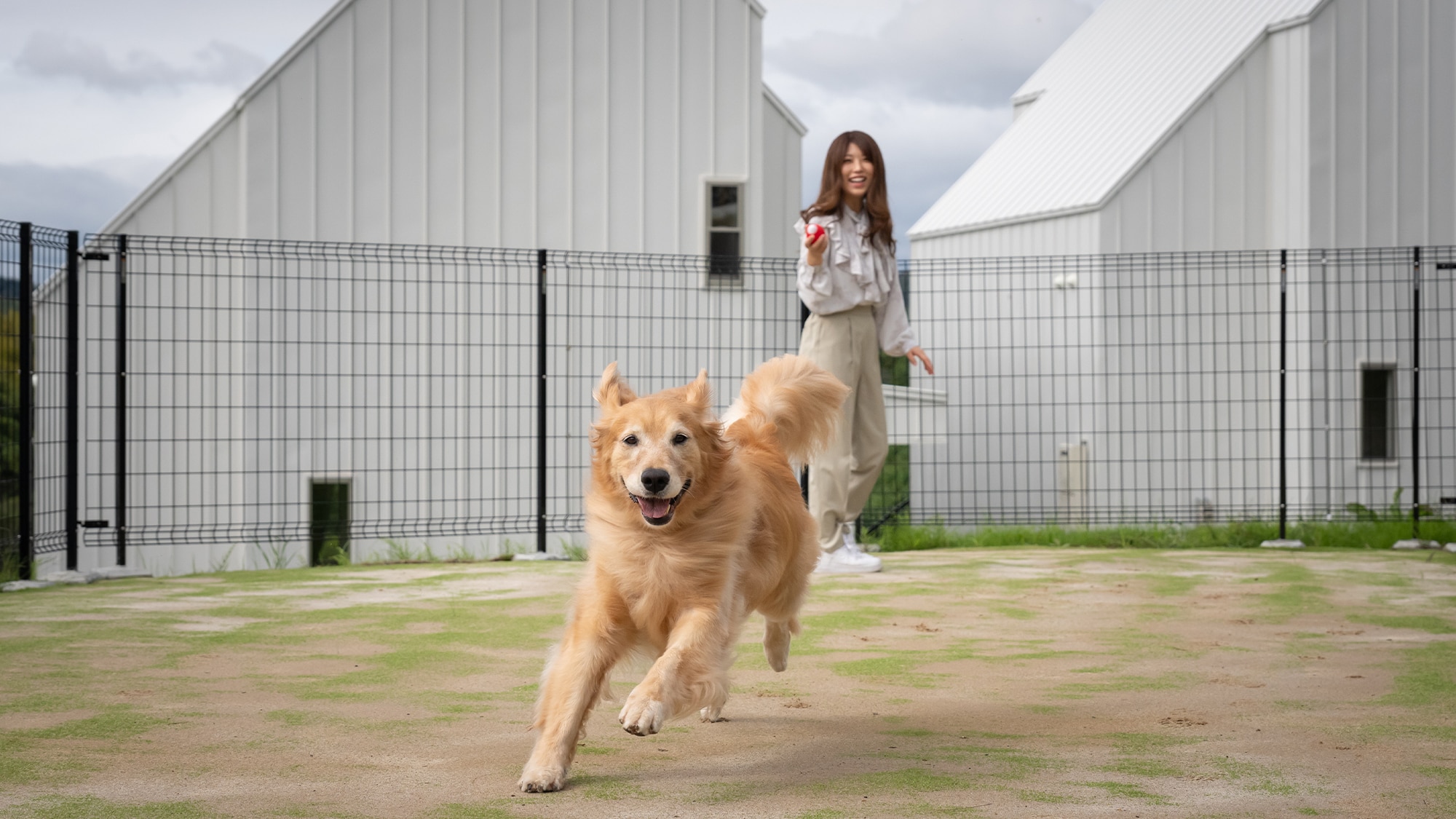 Taman Anjing