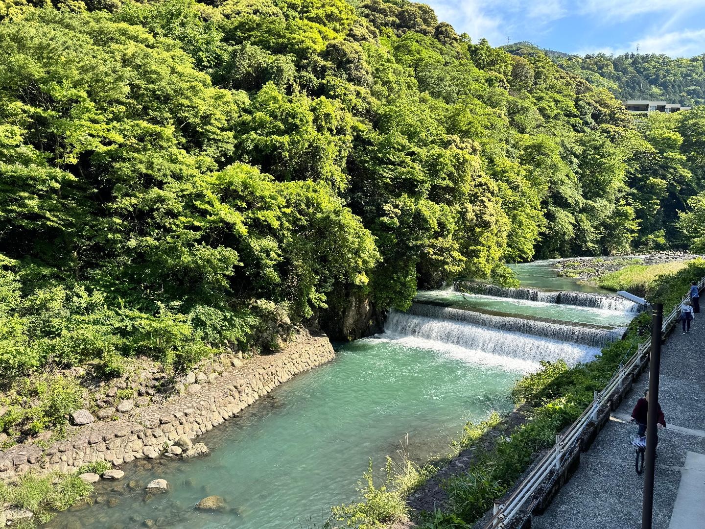 342F8A88-2545-4AFF-A53F-323E5A983D5D.jpeg