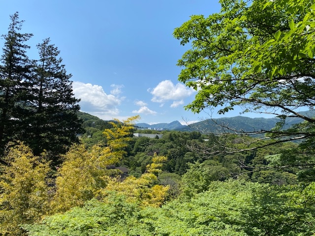 Spacious Japanese-style room (main room 15 tatami mats + 4.5 tatami mats) + hot spring cypress bath