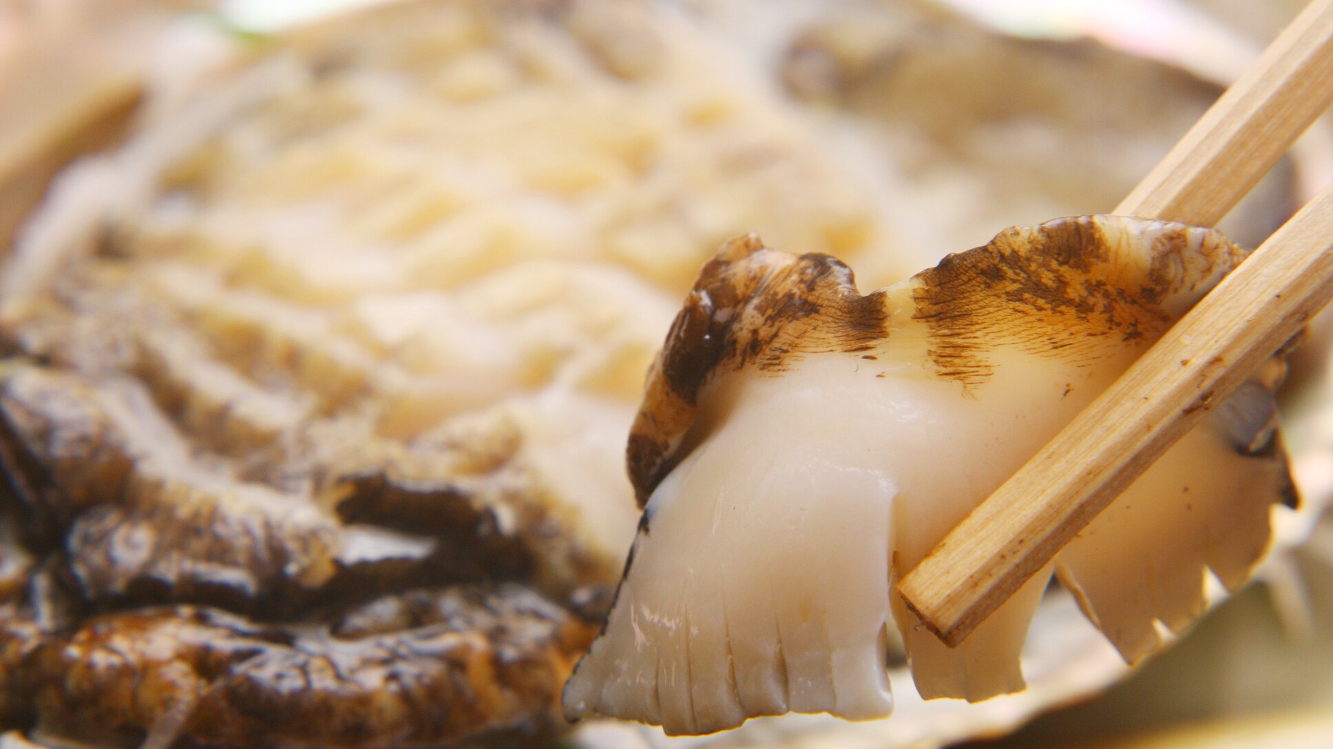 Abalone sashimi ◆ The crunchy texture is irresistible!