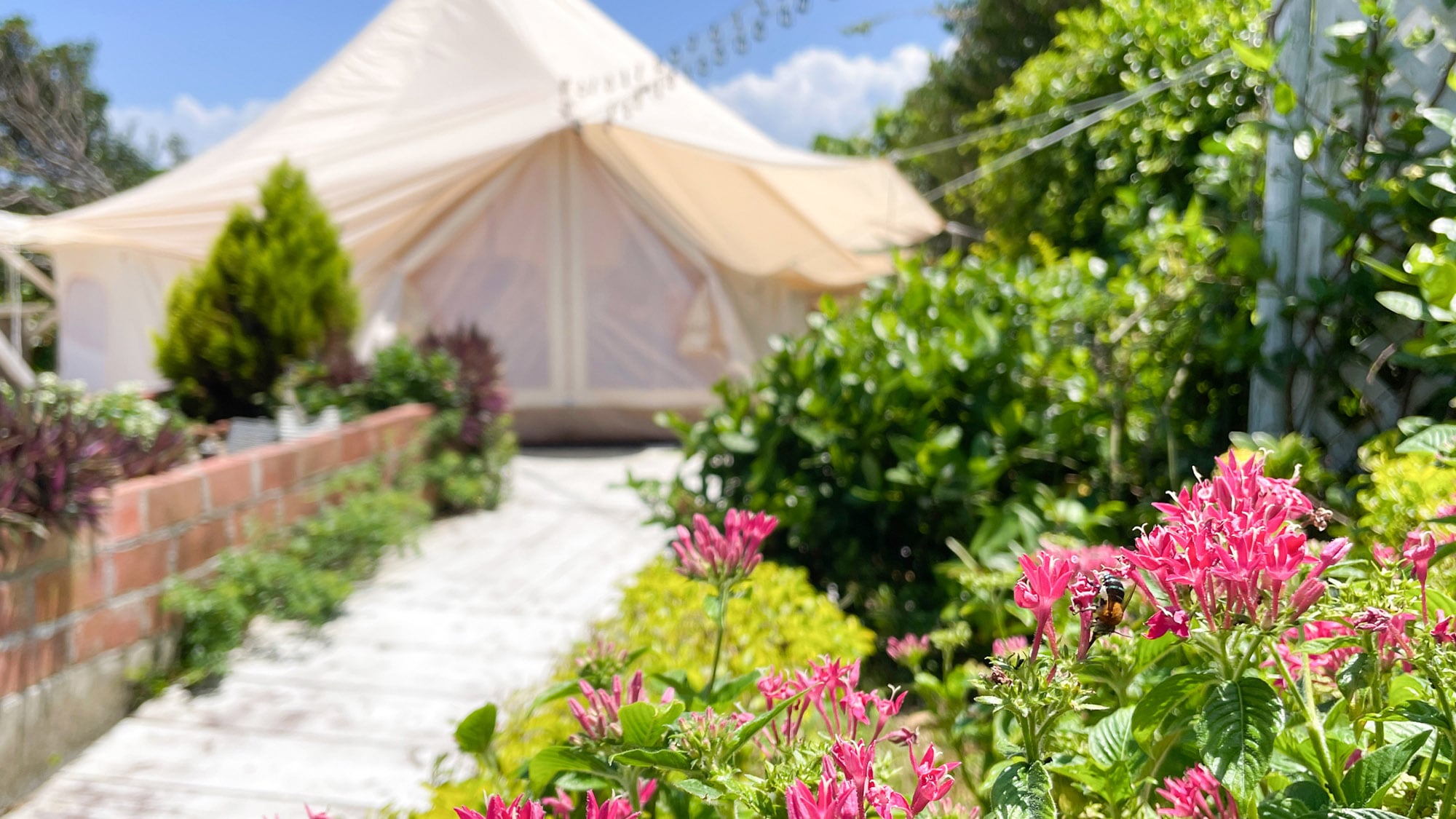 ・[Glamping Tent] Why not try listening to the sounds of nature in a glamping tent that is unique to nature?