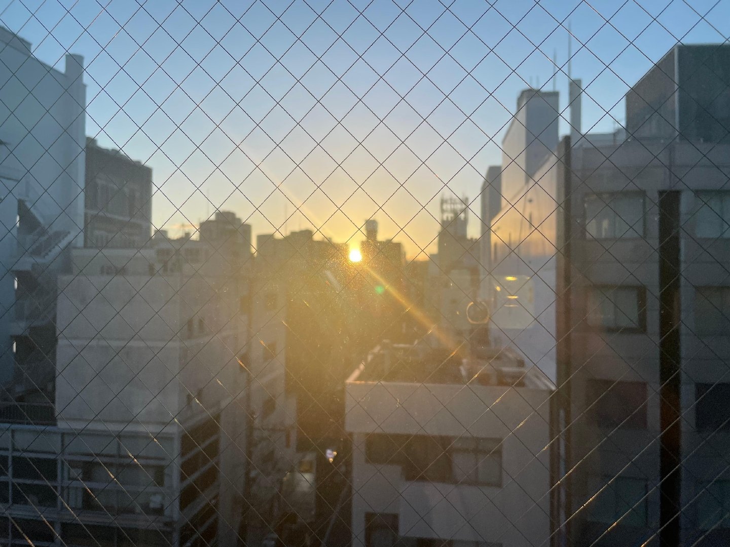 IMG_0759.jpeg