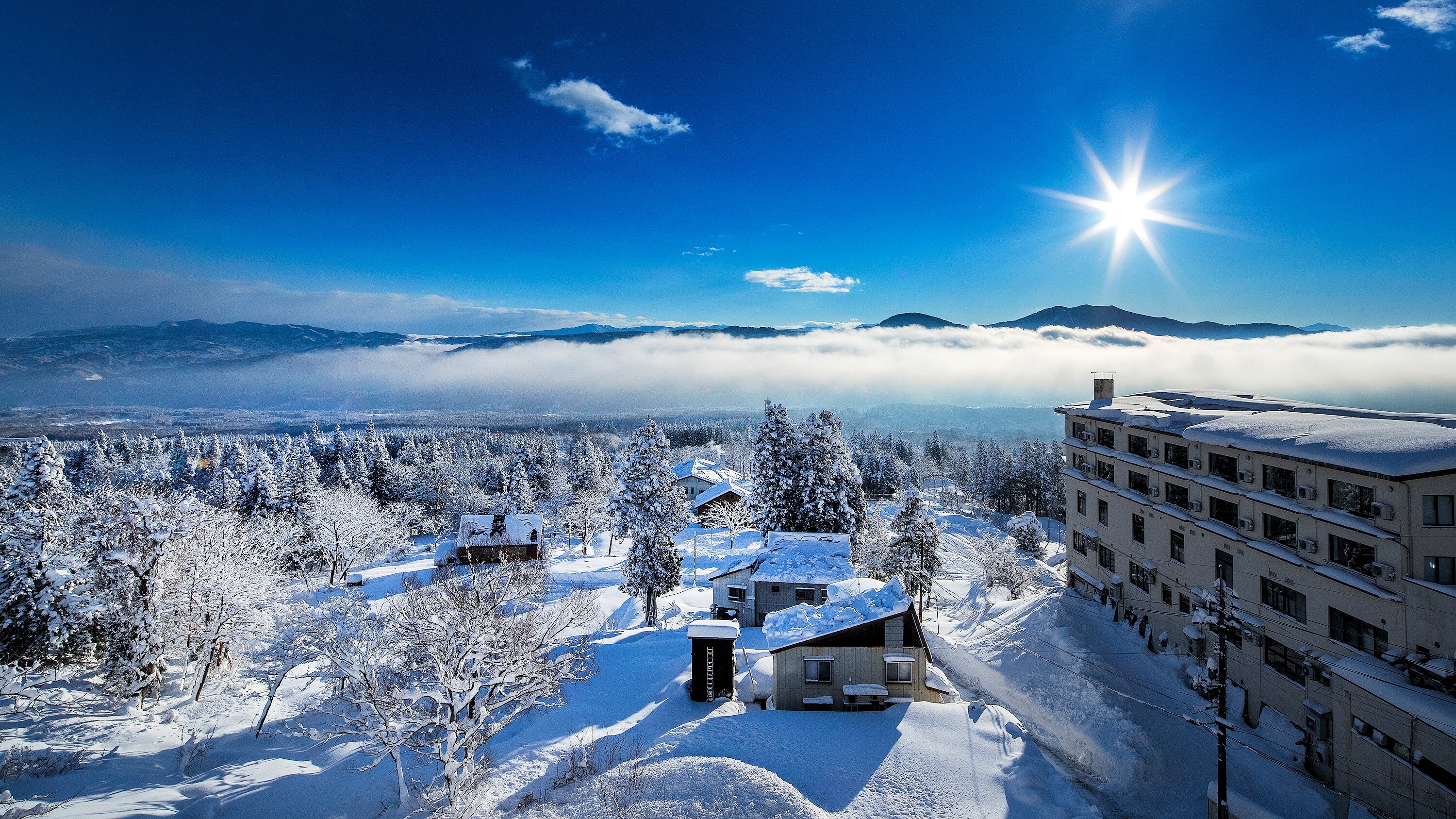 [Other] View of the doctors at the museum → Sea of clouds on a winter morning