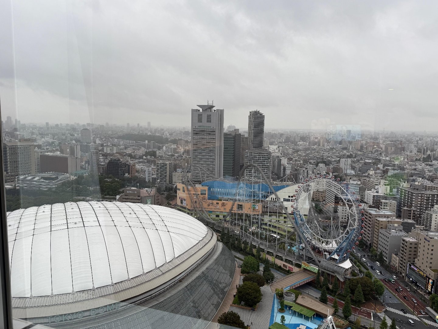 IMG_6490.jpeg