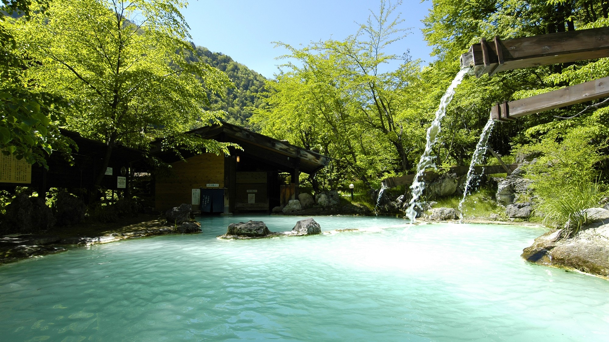 ・ [夏季]初夏・新鲜的绿色萌露天浴池