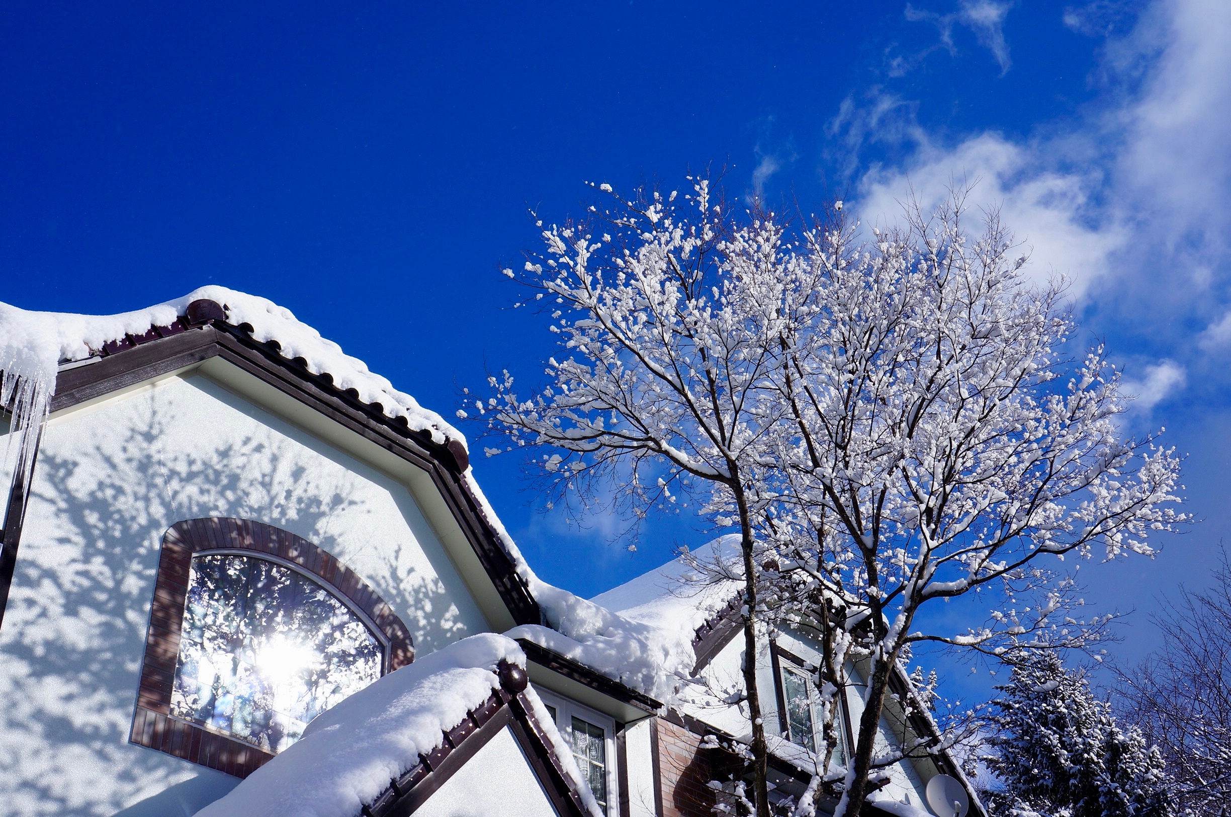 Sunny winter day