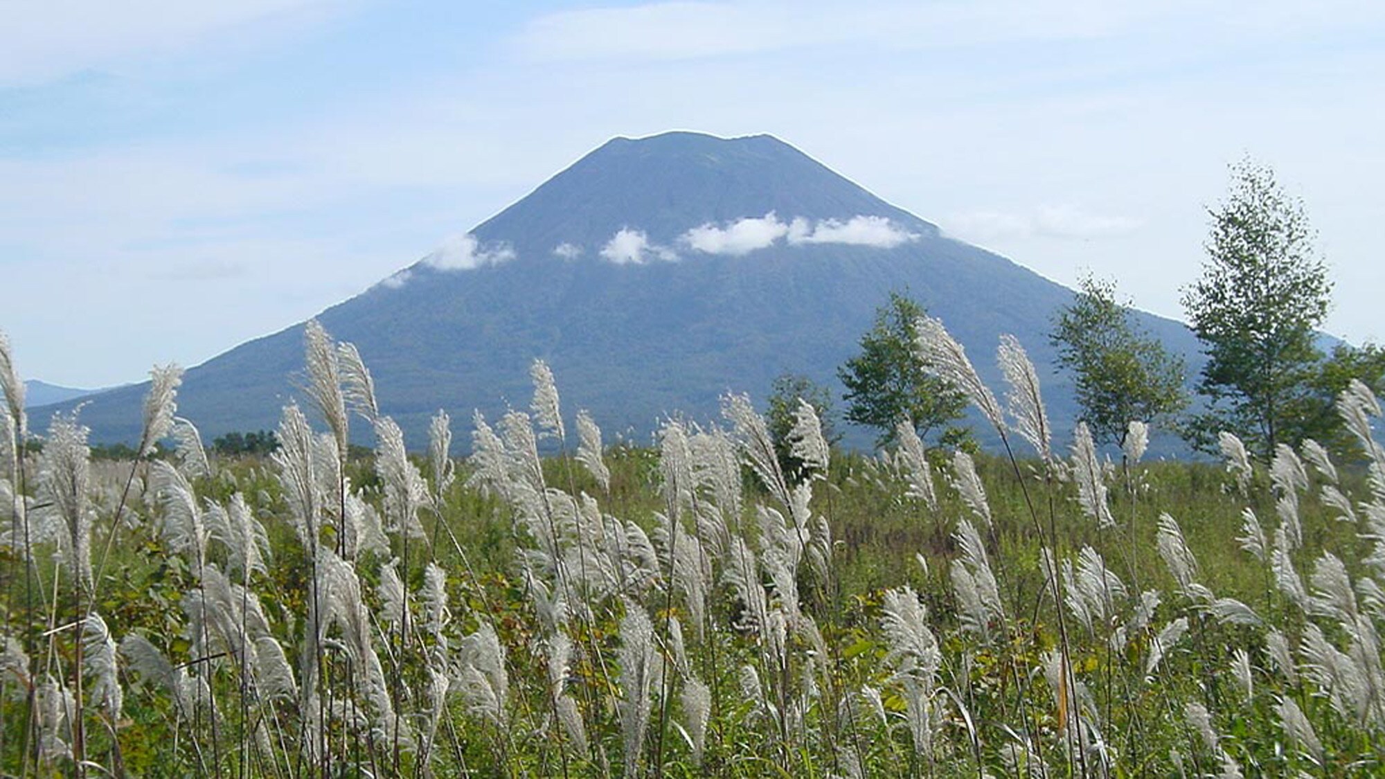 Gunung Yotei dan rumput perak
