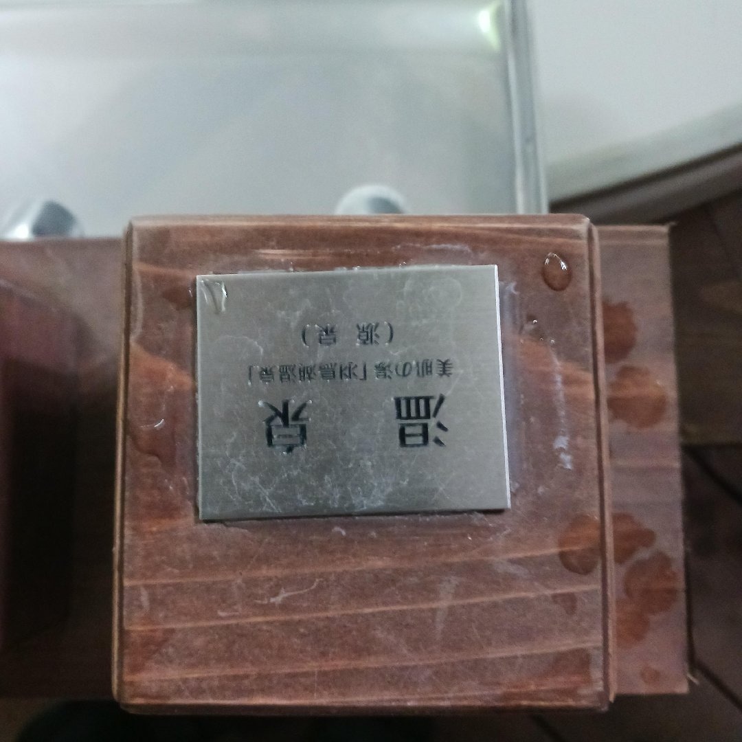1000003561.jpg