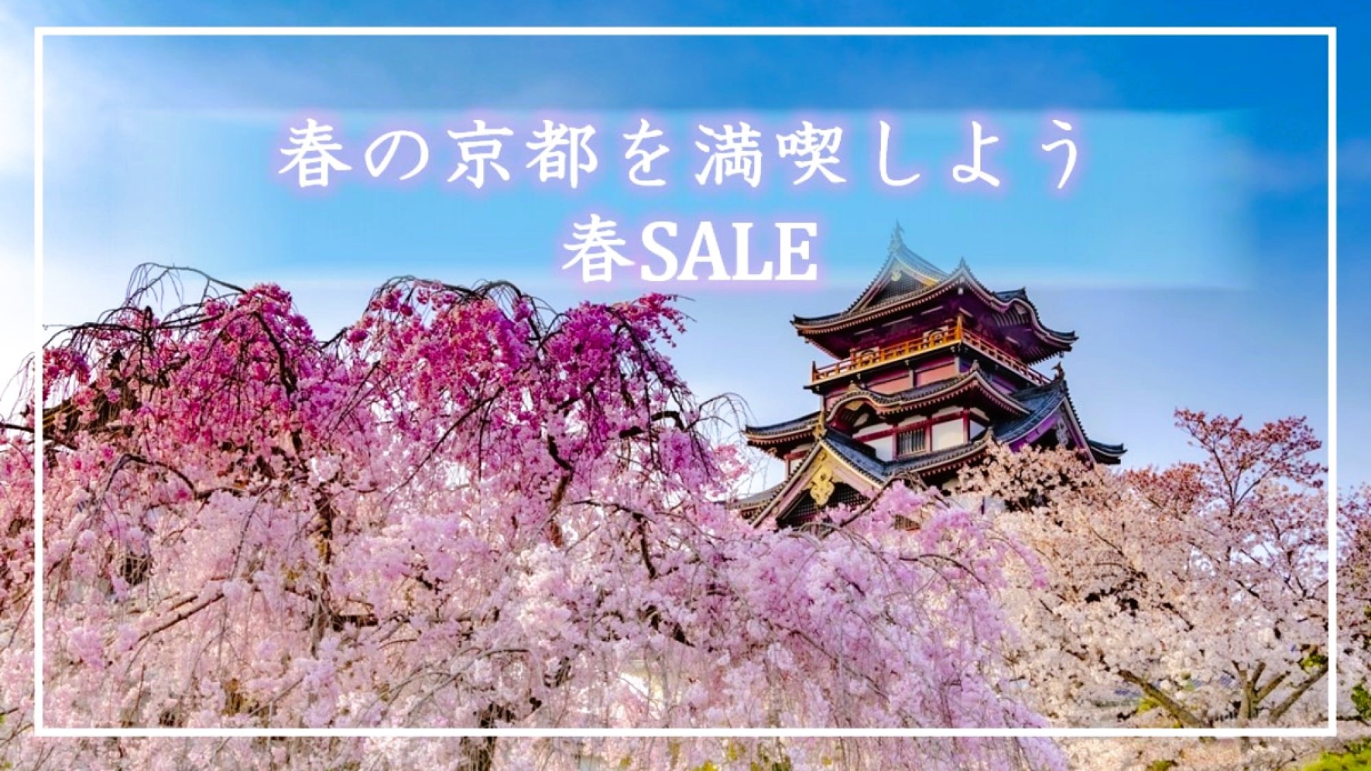 春SALEプラン専用