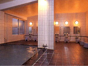 Large communal bath Public Bathroom