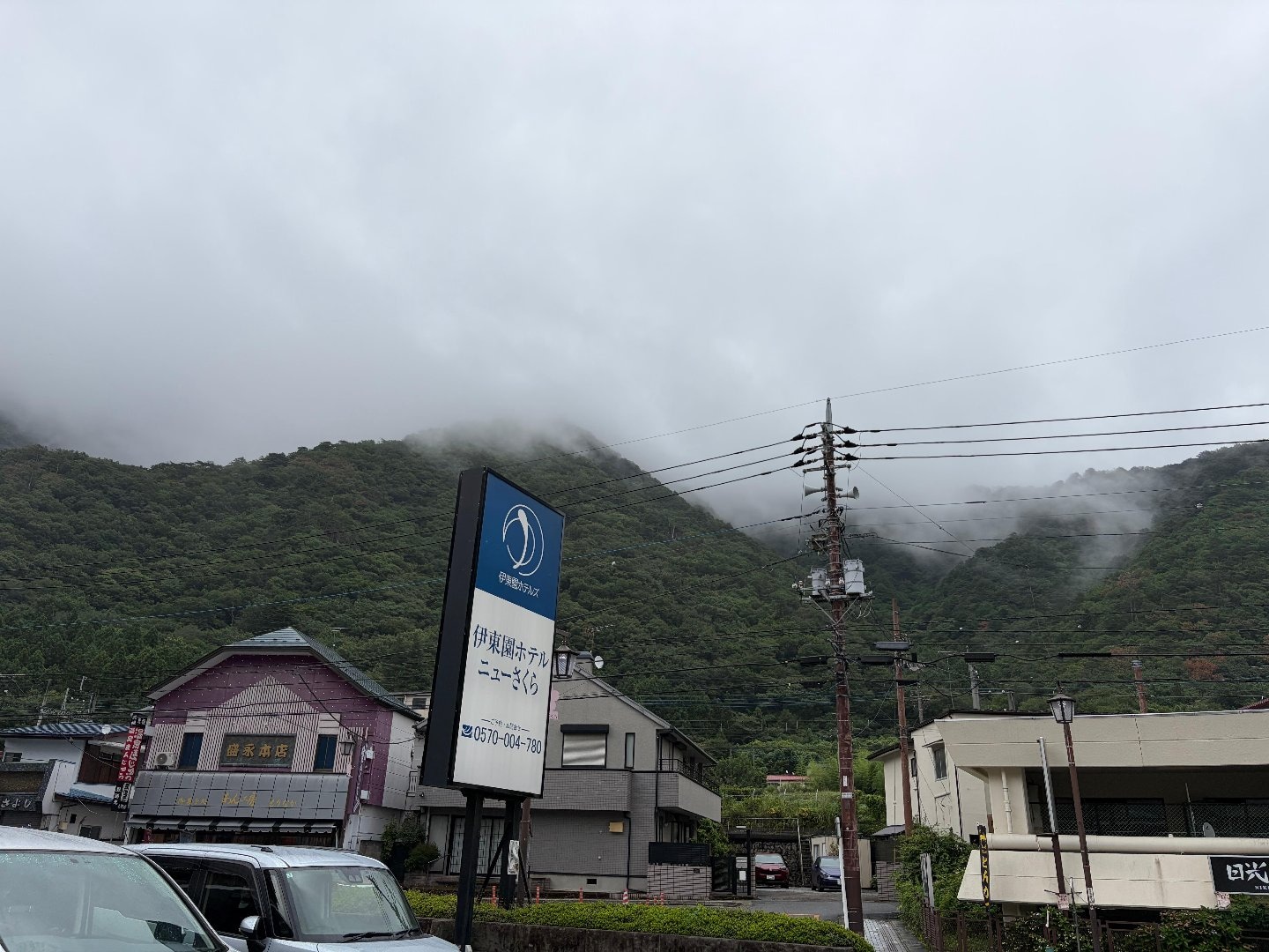 IMG_3309.jpeg