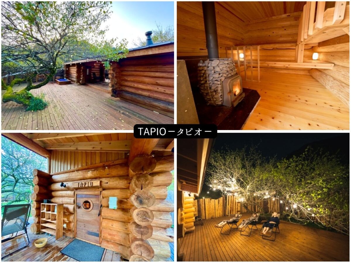 TAPIO