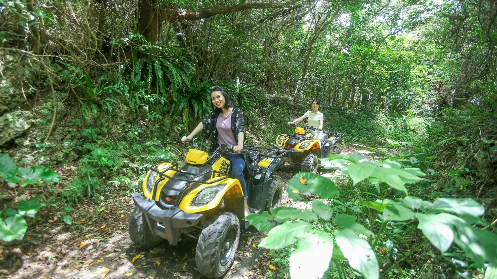 Ride through the forest! A full-fledged buggy ride (fees apply)
