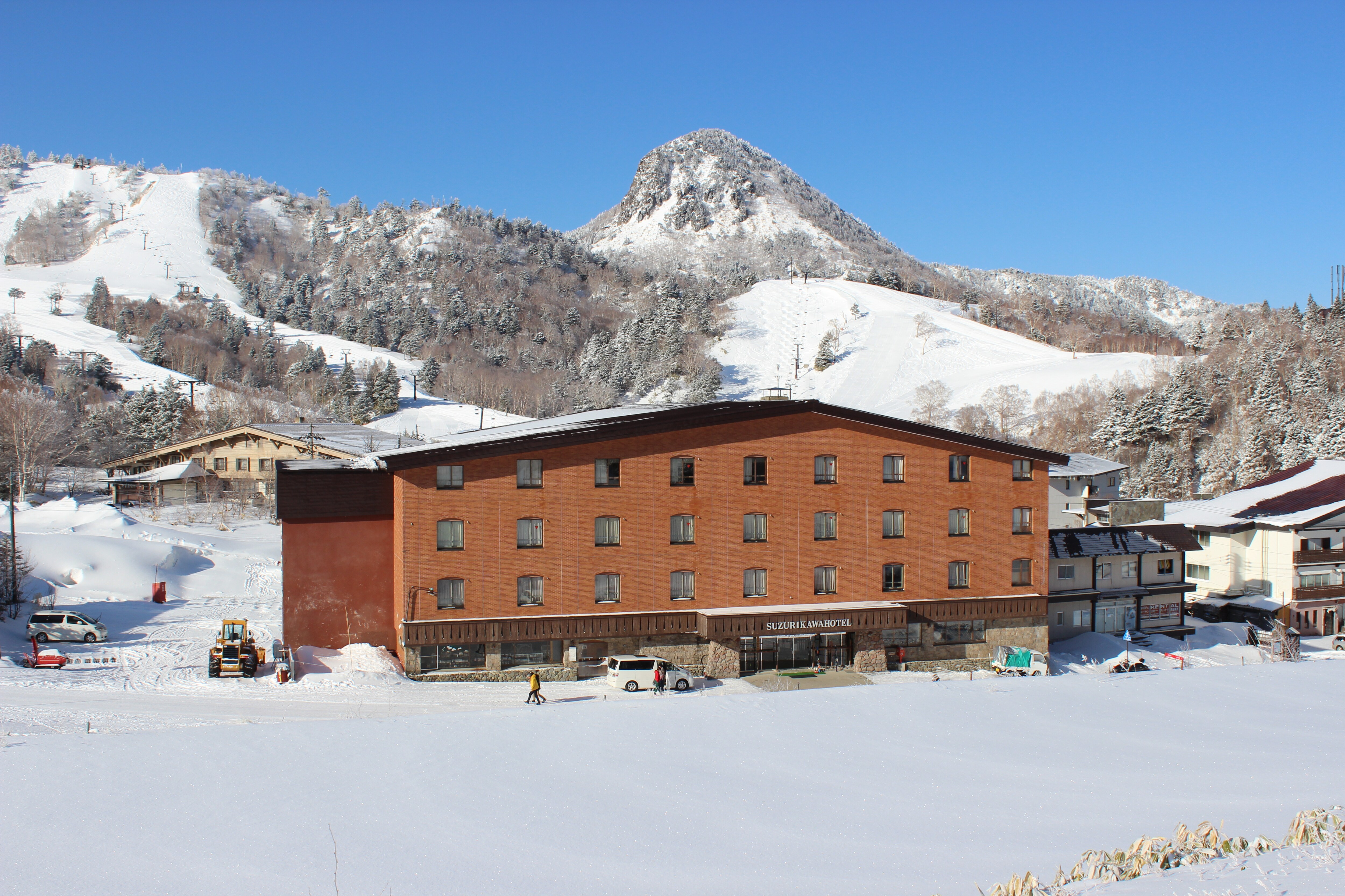 Winter panoramic view