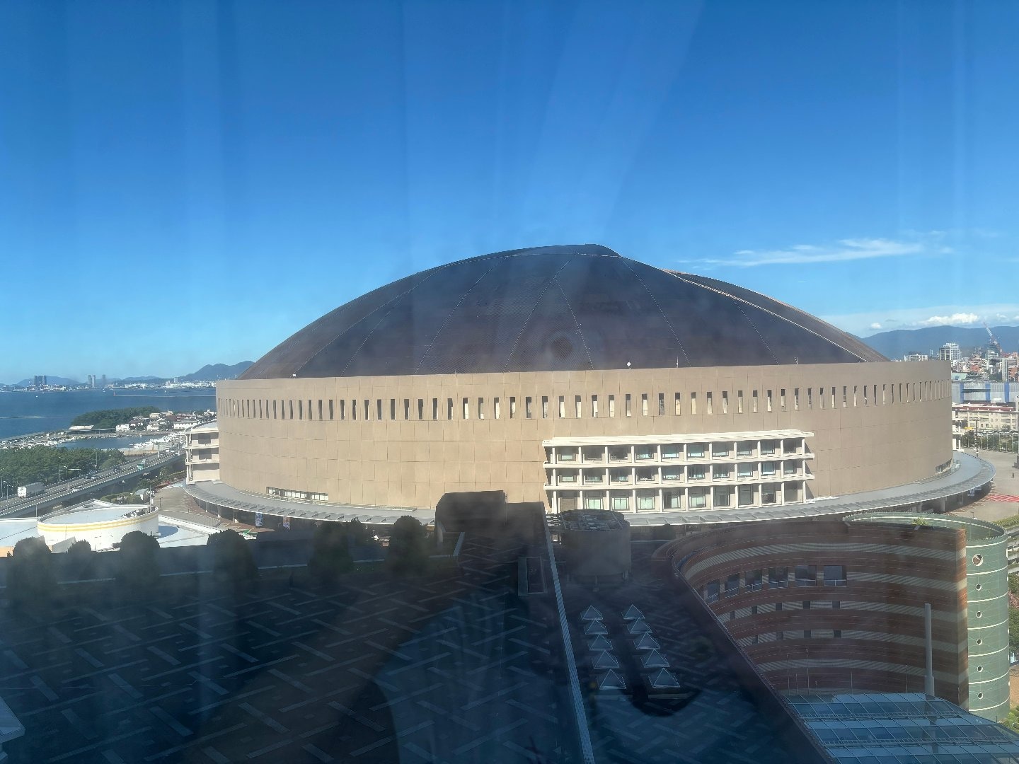 IMG_2053.jpeg
