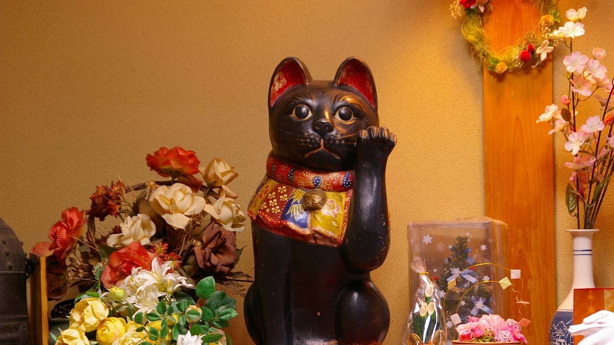 Lucky cat♪