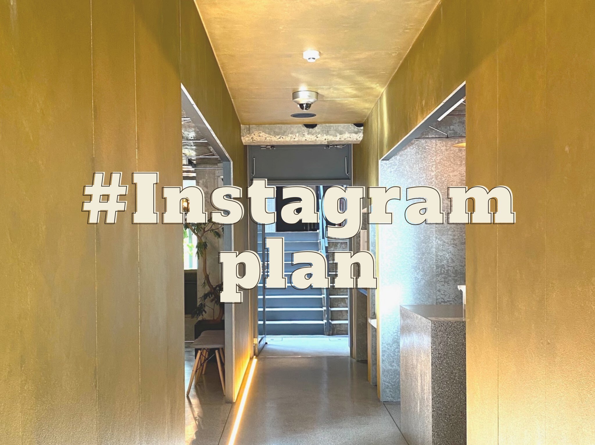 Instagram 计划