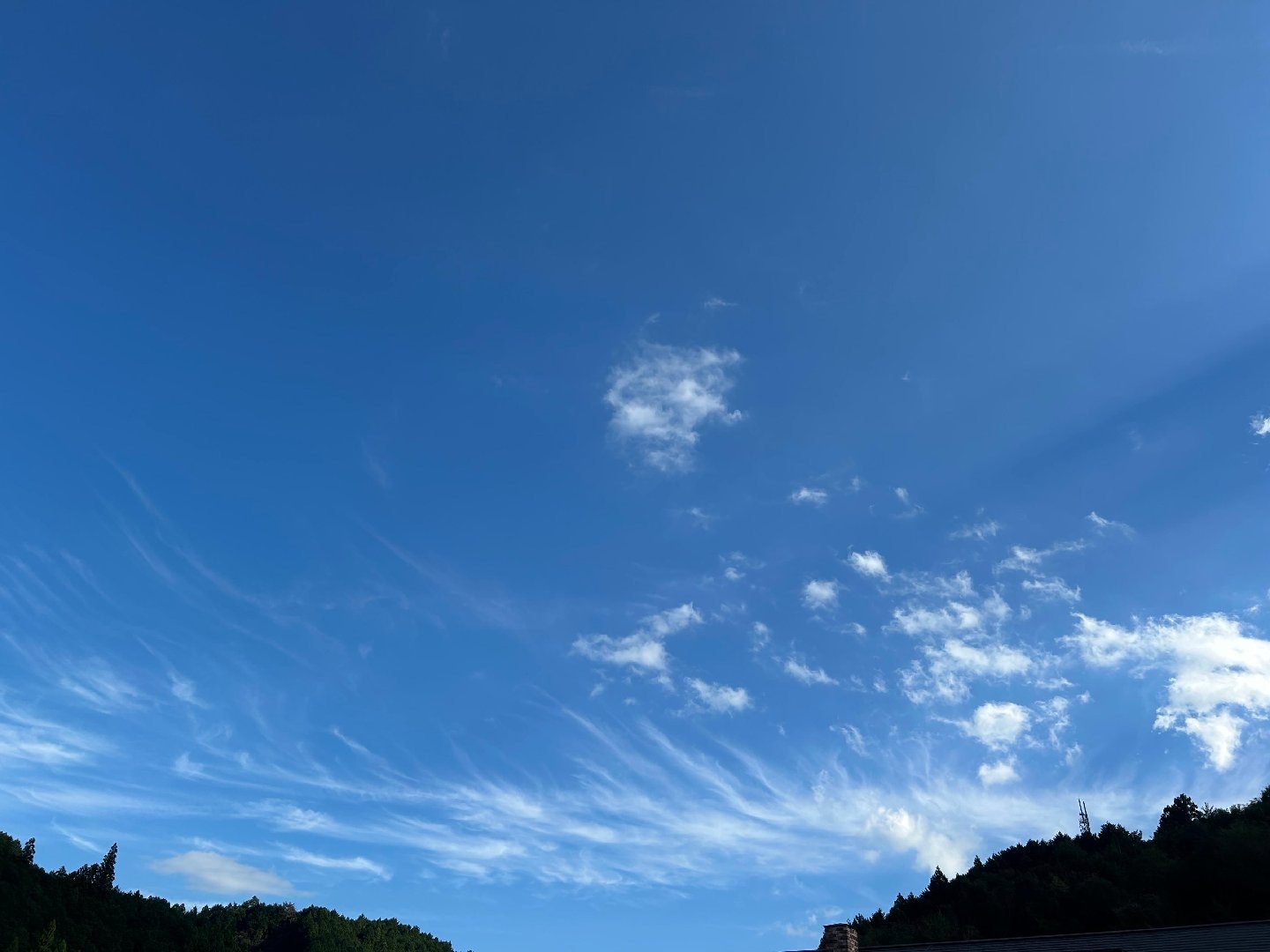 53EAB9CA-87CA-4ADD-B8C2-D665A8BEB864.jpeg