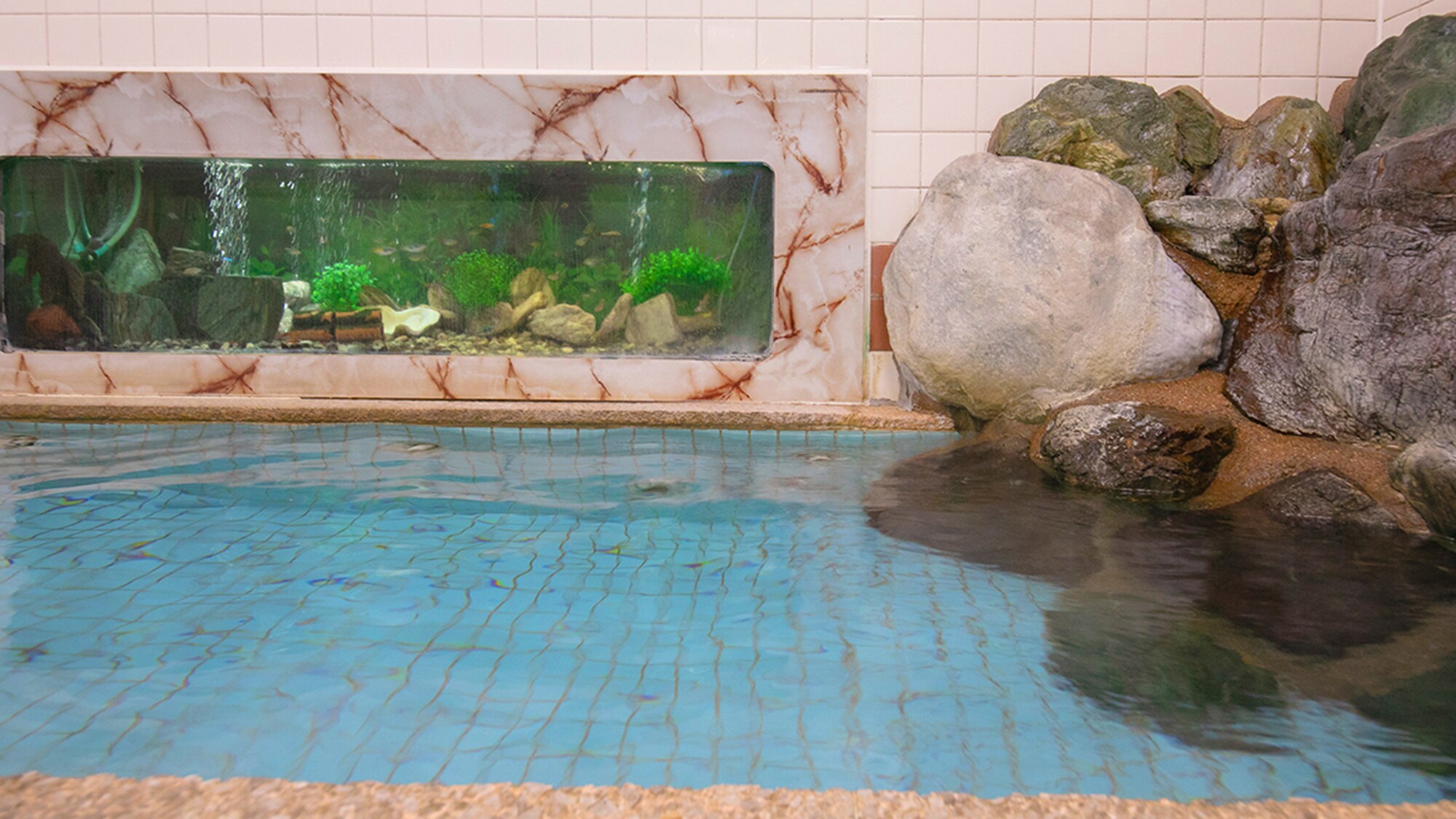 ■Wayakan Large Public Bath■The fish swimming gracefully in the aquarium visible from the bathtub are popular with children☆