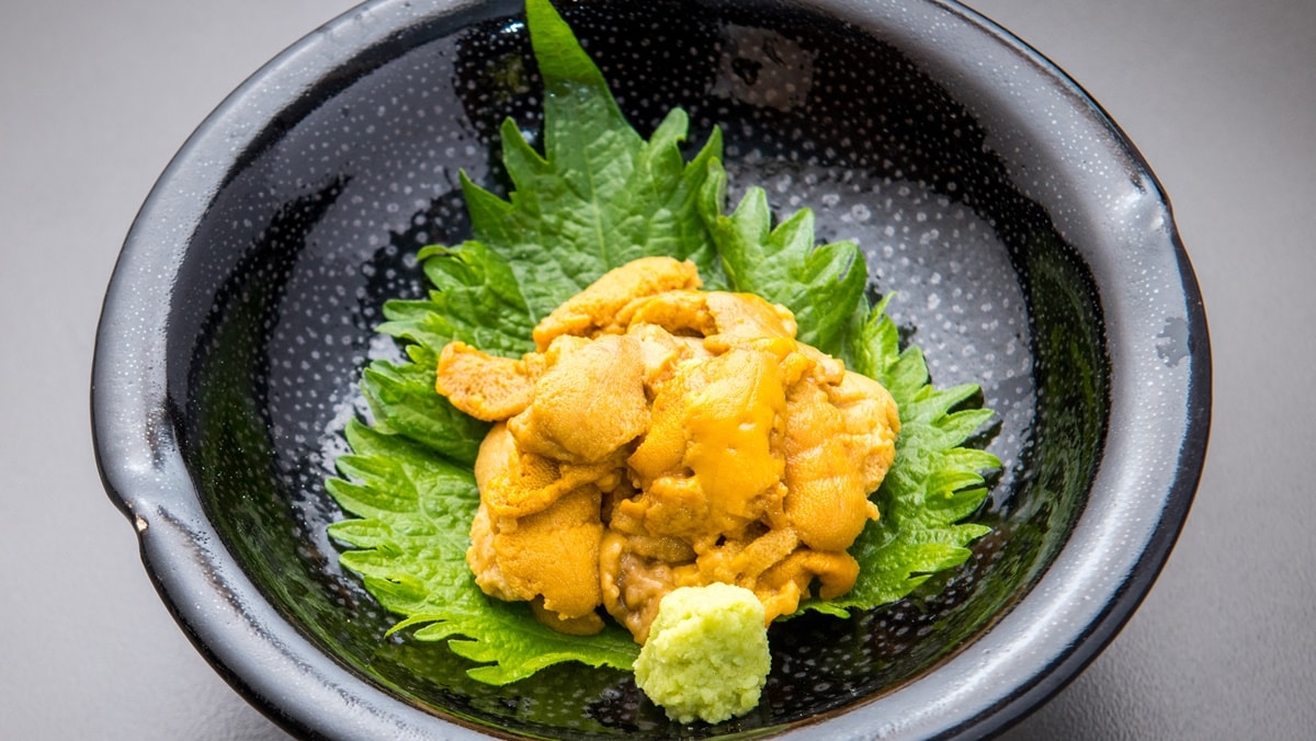 Melty Fresh Sea Urchin Festival