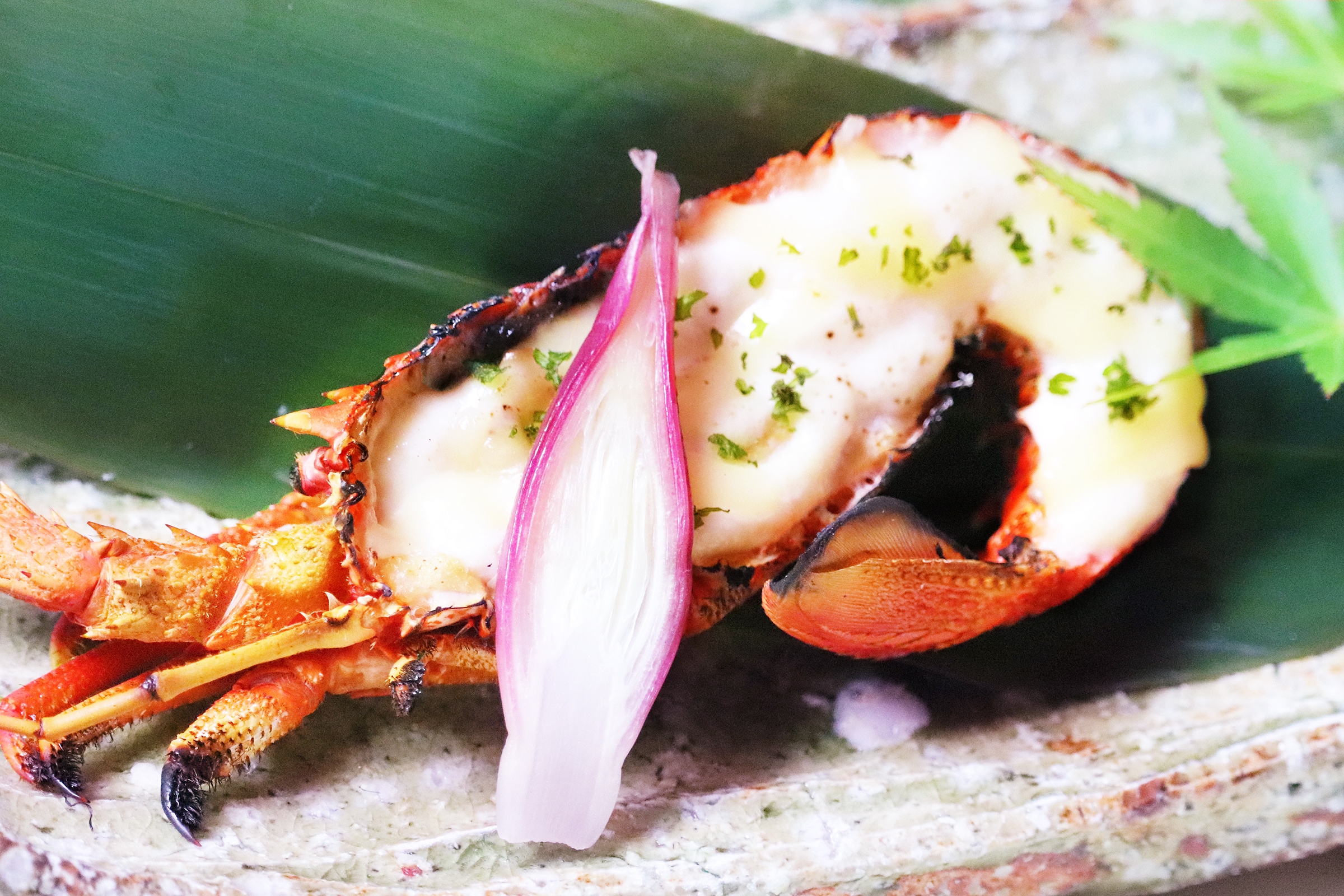 [Dinner] Grilled lobster gratin (Izu colored kaiseki course)